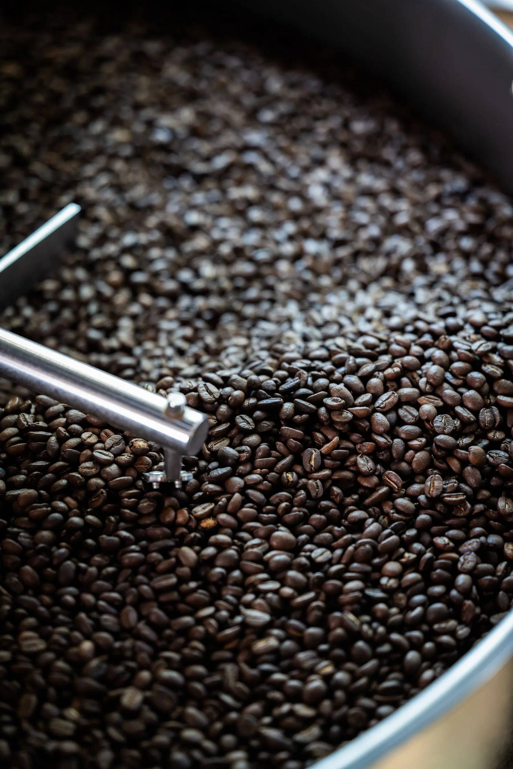 Cold Brew Coarse Grind