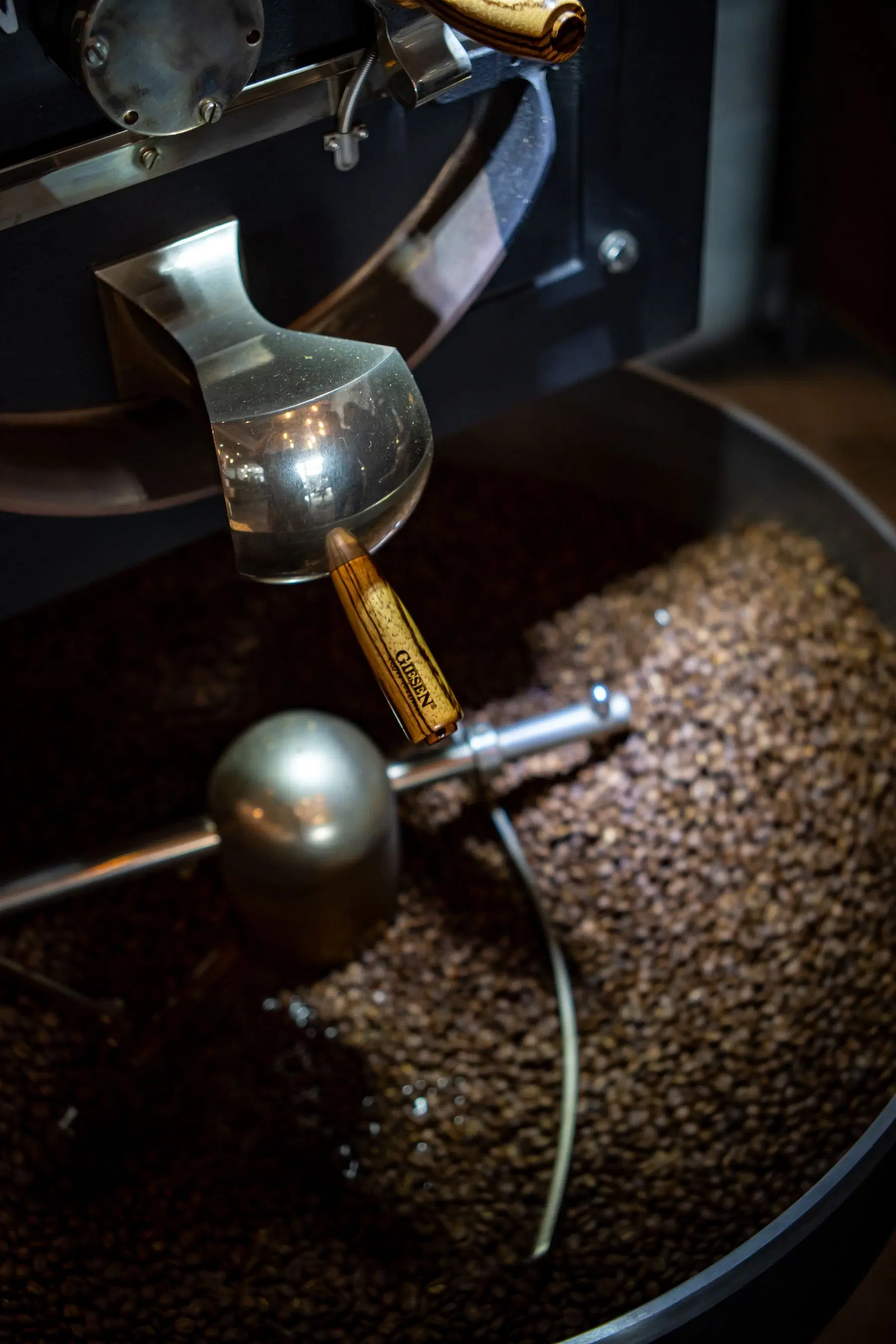 Freshly roasted coffee beans turning in the cooling tray of our drum roaster